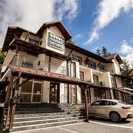 Artemis Villa 포이아나브라소프 외부 사진