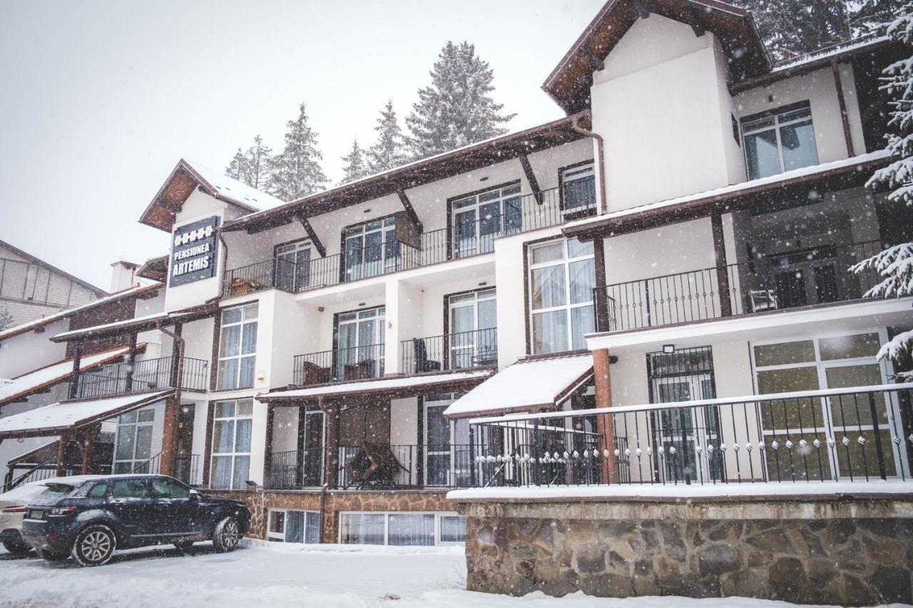 Artemis Villa 포이아나브라소프 외부 사진