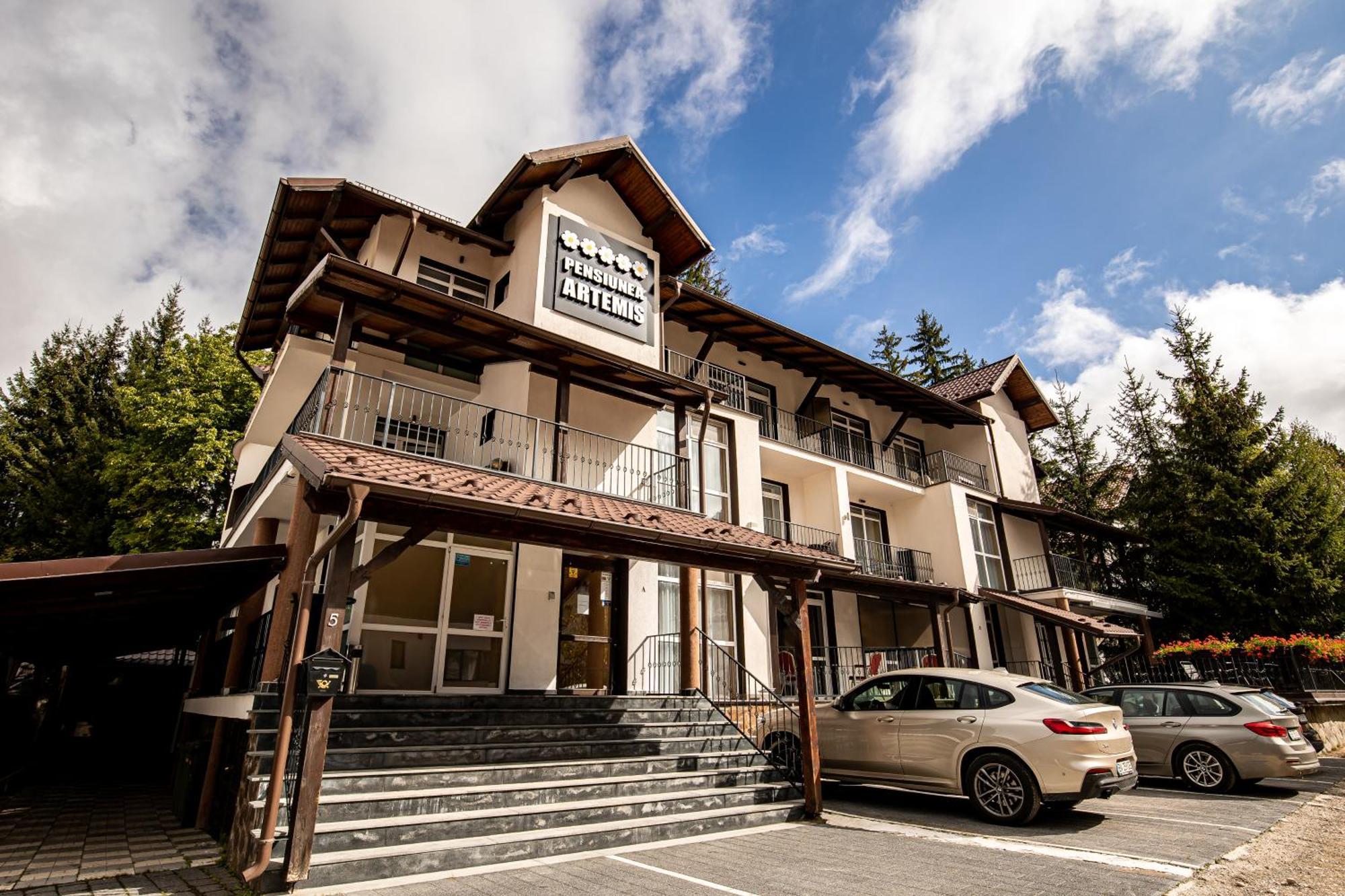 Artemis Villa 포이아나브라소프 외부 사진