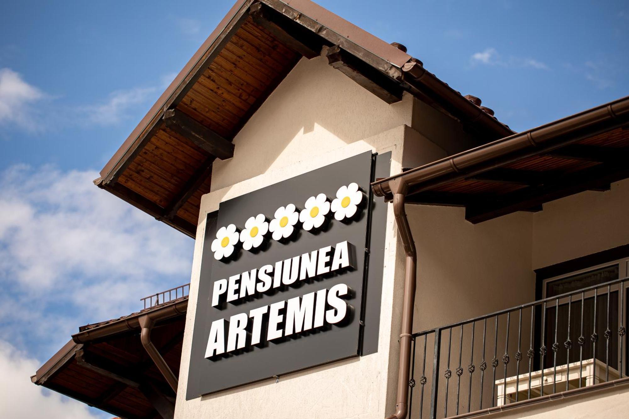 Artemis Villa 포이아나브라소프 외부 사진